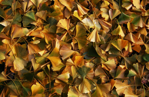 986161 (a): :3646x2359